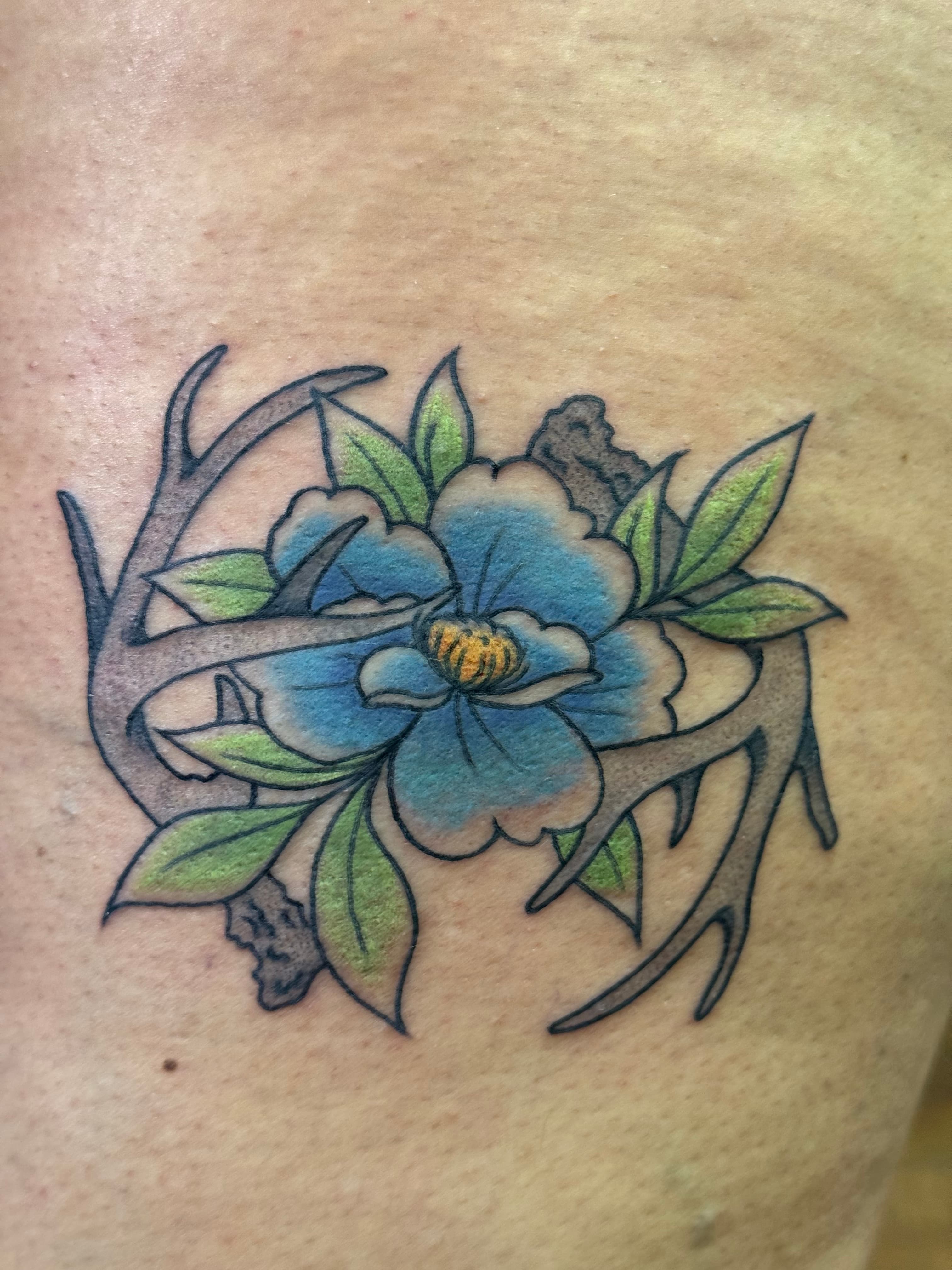 Traditional Magnolia